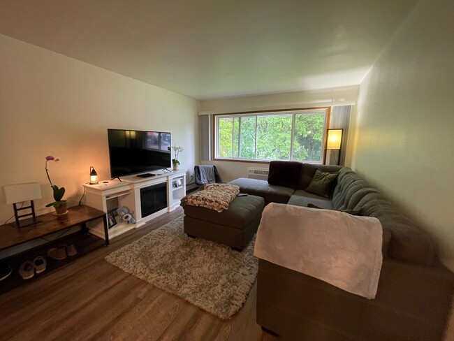 Large Living room - Steeple View Apartments