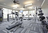 This fitness center offers a bright and inviting environment designed to support a well-rounded workout experience. The space is lined with large windows on multiple walls, flooding the interior with natural light and providing open views of the surrounding greenery, creating an energizing atmosphere for exercise. The light-toned walls and modern patterned carpet tiles in cool grey tones contribute to a clean, contemporary aesthetic throughout.

The facility is equipped with a comprehensive selection of cardio machines, including stationary bikes, elliptical trainers, treadmills, and a rowing machine, thoughtfully arranged to maximize space and usability. Ceiling fans are installed overhead to maintain comfortable airflow during workouts, complemented by recessed and panel lighting for consistent illumination. A wall-mounted flat-screen television is positioned for easy viewing from multiple machines, adding an entertainment option for users.

The overall layout is open and uncluttered, allowing for comfortable movement between equipment. The combination of ample natural light, modern finishes, and a well-curated selection of fitness equipment makes this a functional and pleasant space for daily exercise.