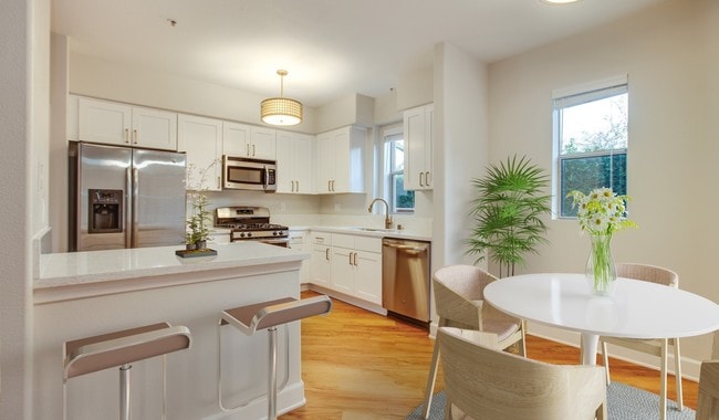 Renovated kitchens with premium finishes are available for upgrade. Ask the leasing team for more details - Palazzo East