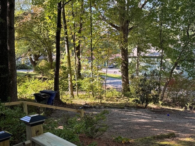 Building Photo - Black Mountain - Newly Renovated 3 Bedroom