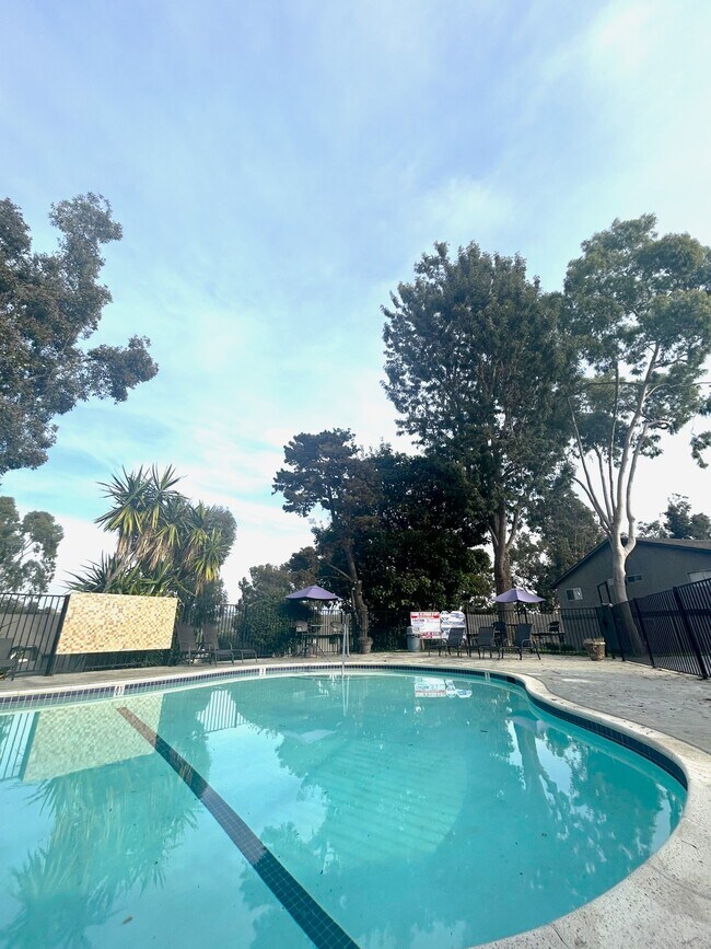 Las Palmas Apartments Apartments in Vista, CA