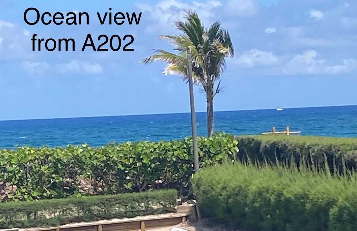 3200 S Ocean Blvd Unit A202, Palm Beach, FL 33480 Condo for Rent in