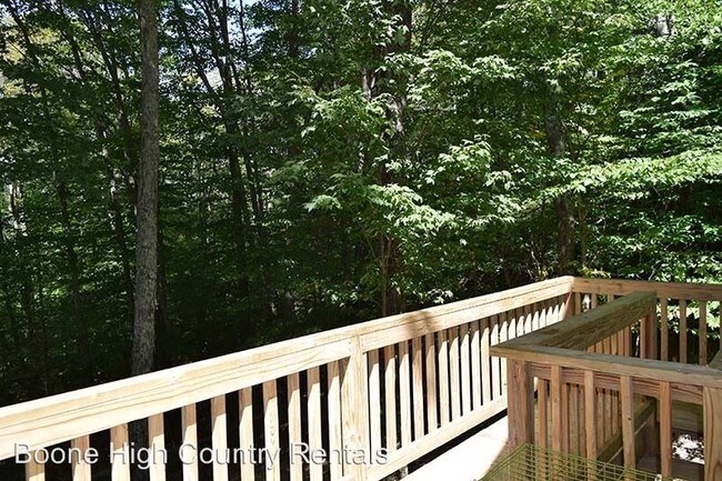 166 Trinity Ridge Ln Banner Elk Nc 28604 House For Rent In