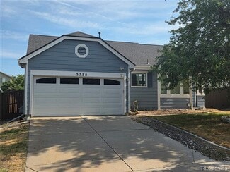 Building Photo - 3738 Rosewalk Ct