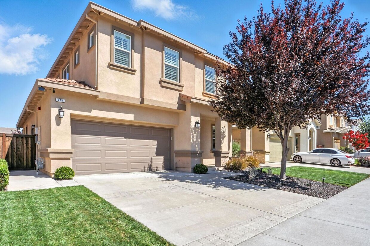Foto principal - 285 Aster St