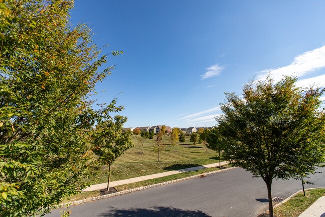 Terra Park View From Balcony - 2B Ellington Road