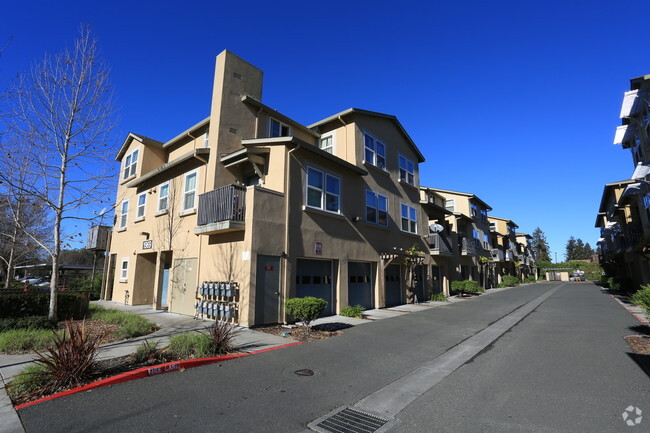 Building Photo - Olive Grove Apartments