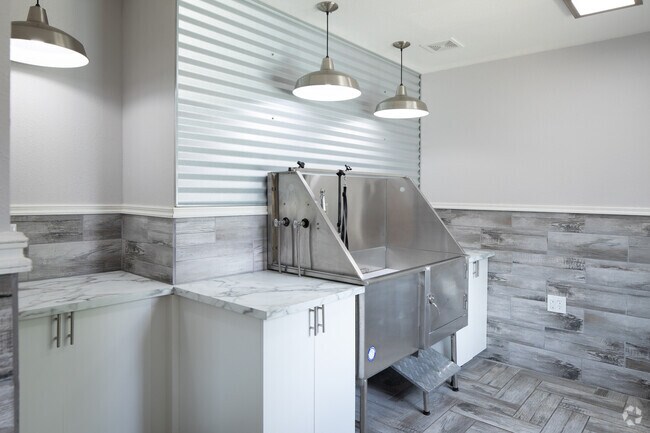 Spa para perros - The Junction Fort Collins