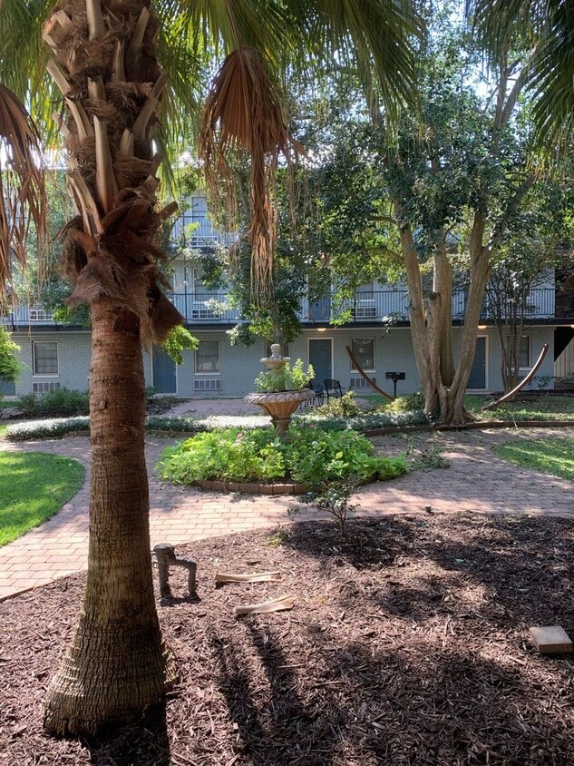Primary Photo - July St -Walk to campus.