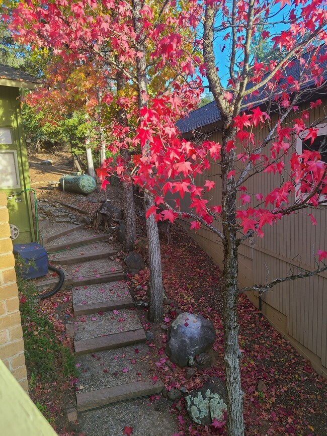 Foto del edificio - 13922 Hemlock Dr