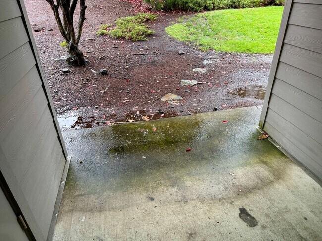 Foto del edificio - Cedar Mills Two Bedroom Condo-Nicely Remodeled!