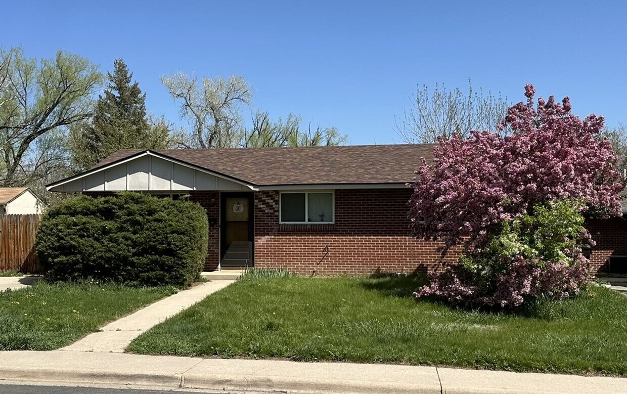 Primary Photo - Convenient Location! Easy walk to CU Campu...