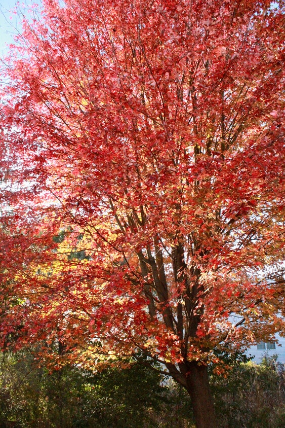 Building Photo - Plaza East