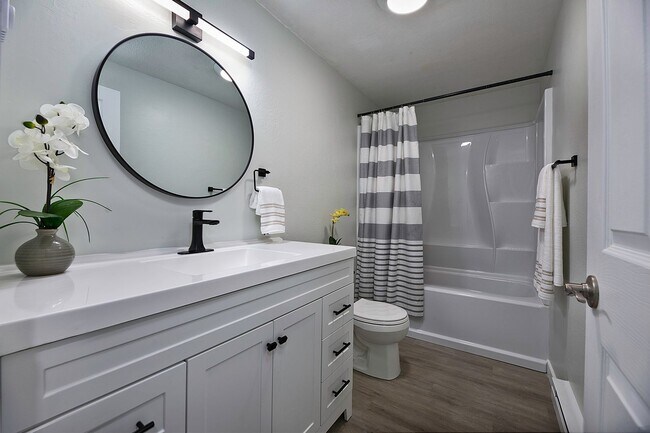 Foto del edificio - READY SET MOVE!!! GREAT PRICE & LOCATION - Darling Rambler in Olympia