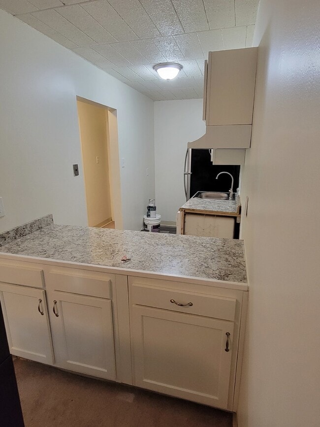 Building Photo - Two Bedroom Apartment in Brookline