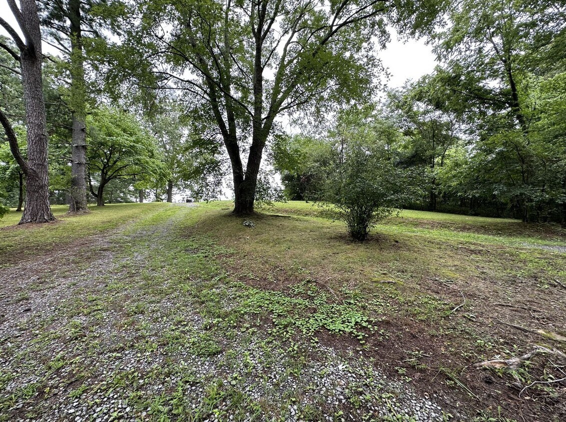 Building Photo - 1124 Palmyra Rd