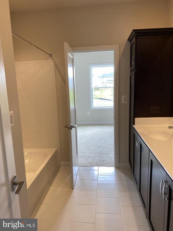 Foto del edificio - 24980 Striped Maple Dr