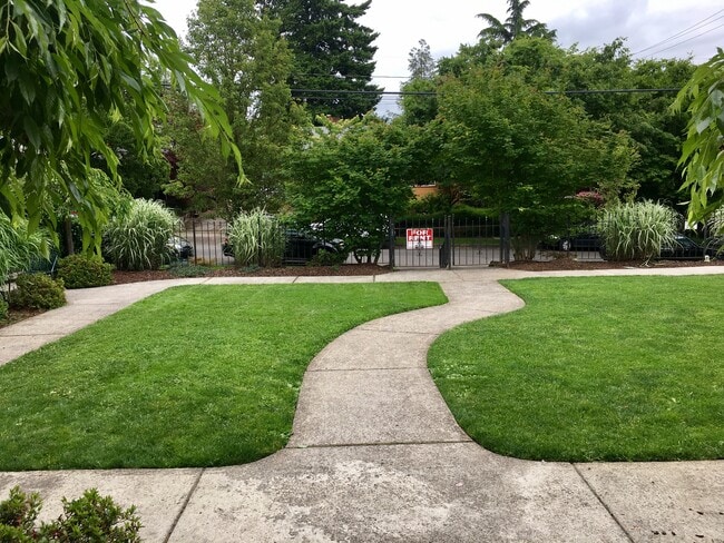 shared courtyard - 2515 SE 51st Ave