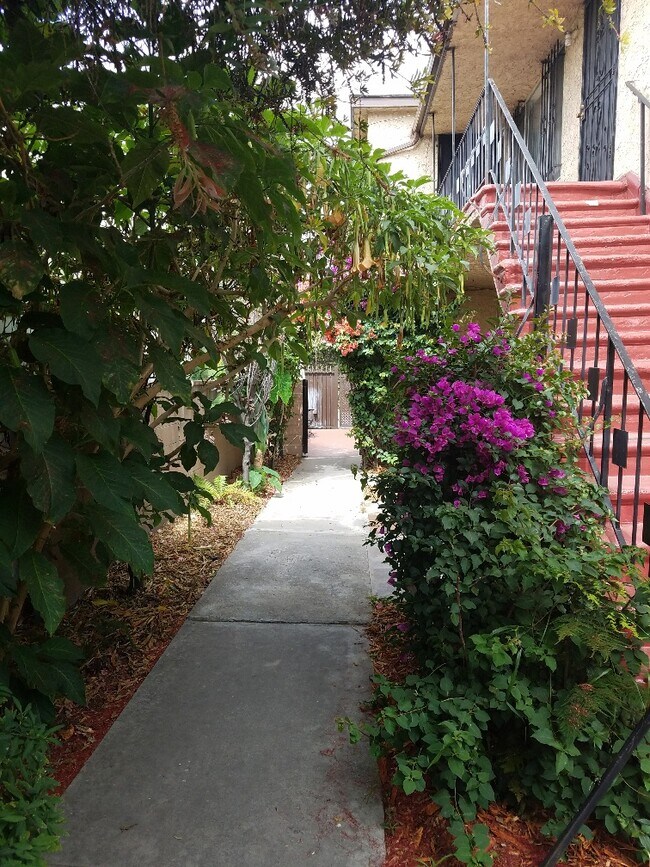 Exterior Landscaping - 2939 S Bronson Ave