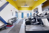 Located at 400 Maynard Street in Ann Arbor, Michigan, this fitness center is a single-floor exercise space designed to deliver a full workout experience in an efficiently organized layout. The room is immediately distinguished by its bold yellow ceiling, which contrasts sharply with clean white walls and adds a vibrant, energetic atmosphere to the space. The flooring consists of durable rubber gym matting in gray and blue sections, providing safe, cushioned surfaces for exercise throughout.

The cardio area is well-equipped, featuring multiple treadmills, elliptical machines, and a stationary bike, all positioned along the walls and accompanied by wall-mounted flat-screen televisions for entertainment during workouts. A dedicated free weights section includes a full rack of dumbbells in various sizes, along with workout benches for strength training. A multi-functional cable machine anchors the strength training area, highlighted by a striking navy blue X-shaped structural accent on the wall behind it.

Large floor-to-ceiling windows and glass sliding doors line one wall, allowing abundant natural light to fill the room and offering direct visual access to an adjacent outdoor courtyard featuring seating areas. A ceiling fan and overhead lighting ensure comfort year-round. The overall design is modern, functional, and energetic, making it a well-appointed facility for residents in the heart of Ann Arbor.