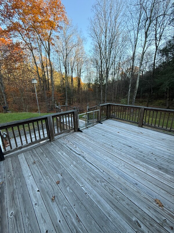 Foto del edificio - 115 Morningstar Ln