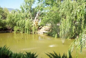 Pond - 701-745 Twin Lakes Dr