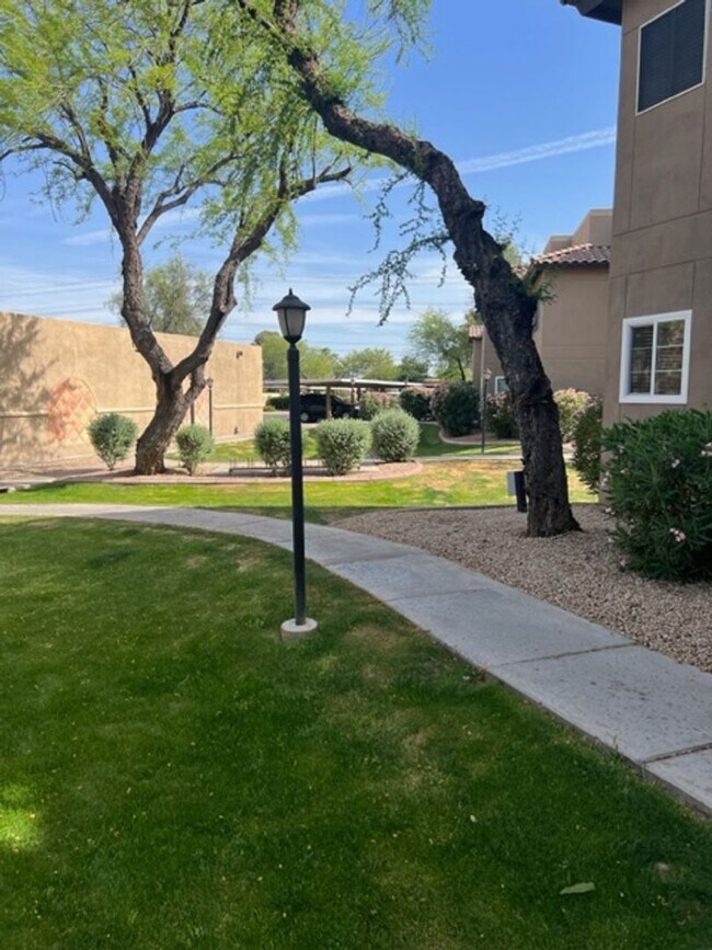 Building Photo - Fully furnished Scottsdale condo! MOVE IN SPECIAL WITH APPROVED CREDIT!