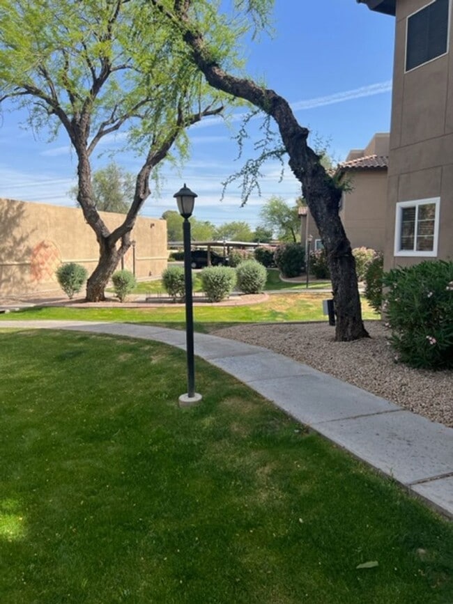 Building Photo - Fully furnished Scottsdale condo!