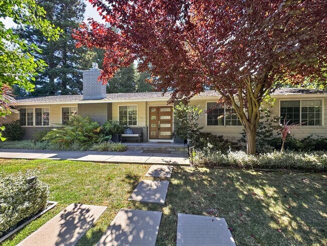 Foto del edificio - Gorgeous 4 Bedroom PLUS Spacious Bonus Room with Pool in Desired Alamo Neighborhood Available Now!