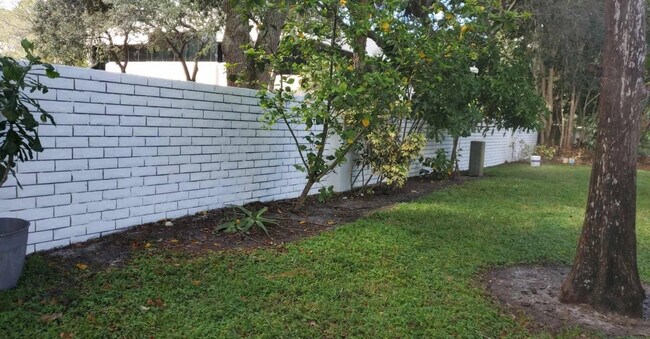 Patio trasero - 1079 Mulberry Pl