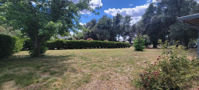 Foto del edificio - Cottonwood Country Living Near Schools