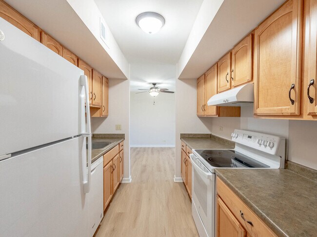 Building Photo - 530 Shorely Dr