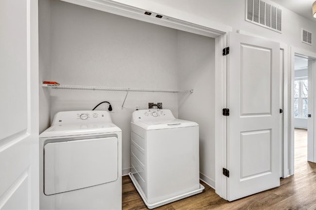 Interior Photo - Olive & Wooster