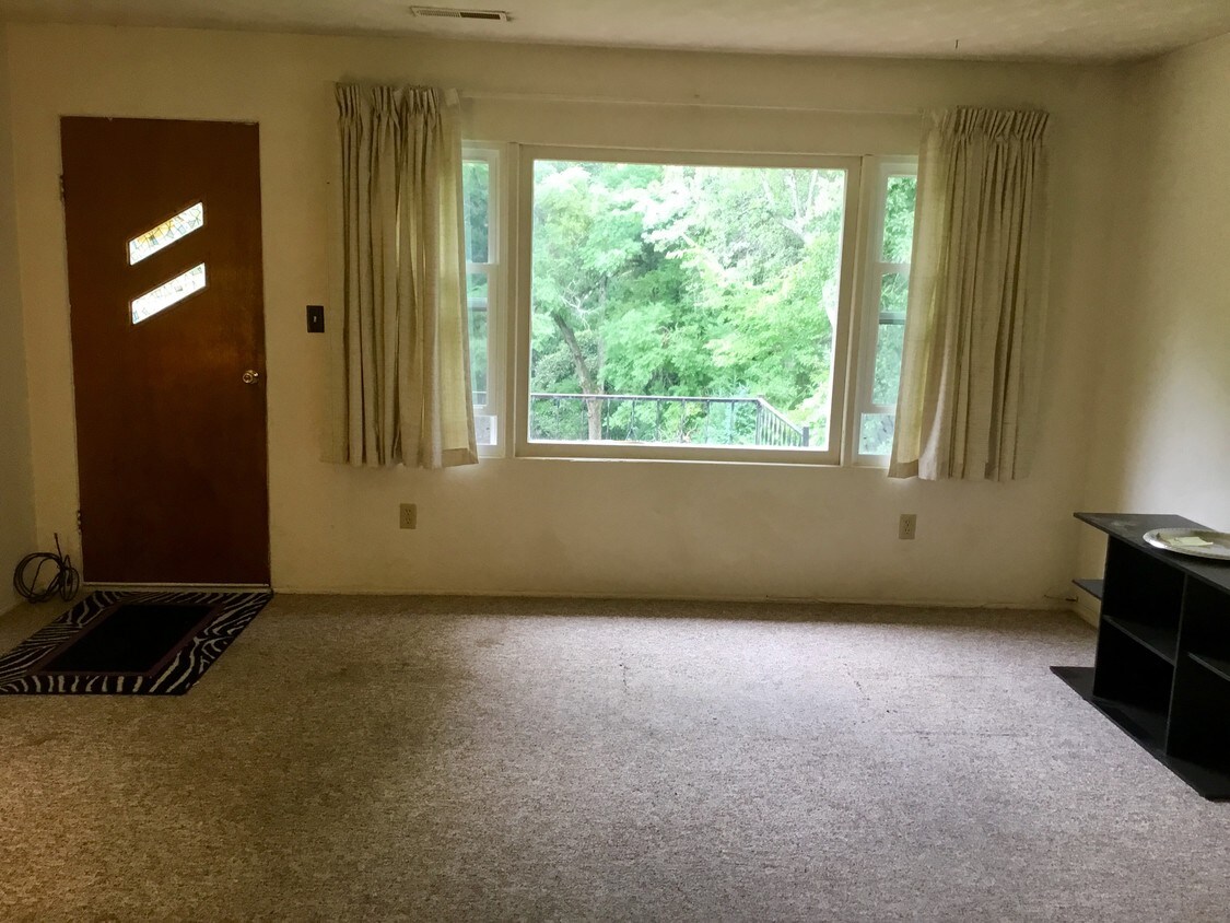 Living room - 204 W Hunt Ave