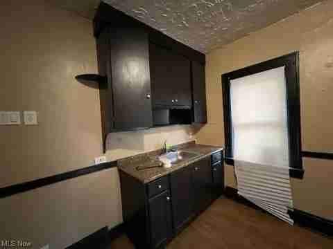 1007 Nathaniel Rd Cleveland, OH 44110 – photo 2