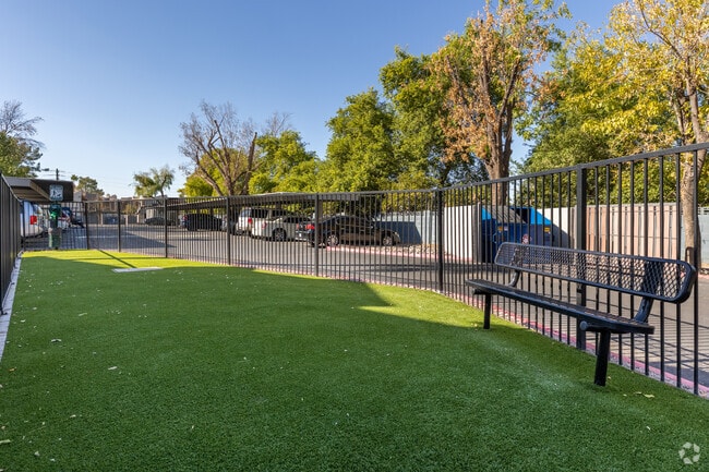 Dog Park - Portola East Mesa