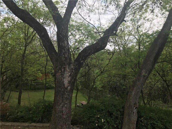 Foto del edificio - 6401 Chimney Creek Cir
