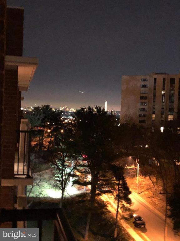 1300 Army Navy Dr, Arlington, VA 22202 Condo for Rent in Arlington