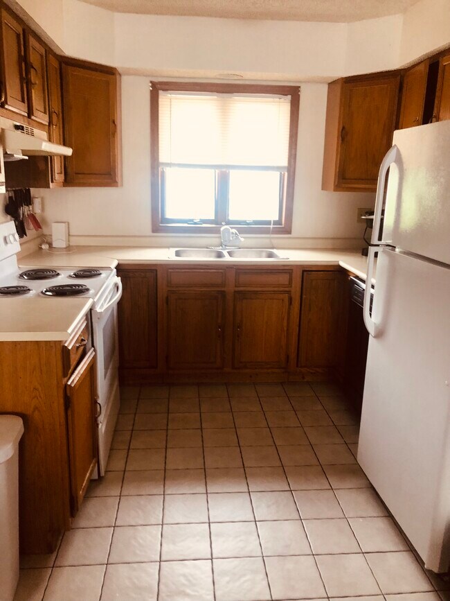 Kitchen - 60 Bertha St