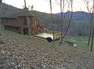 Back of house - 985 Brattle Ln