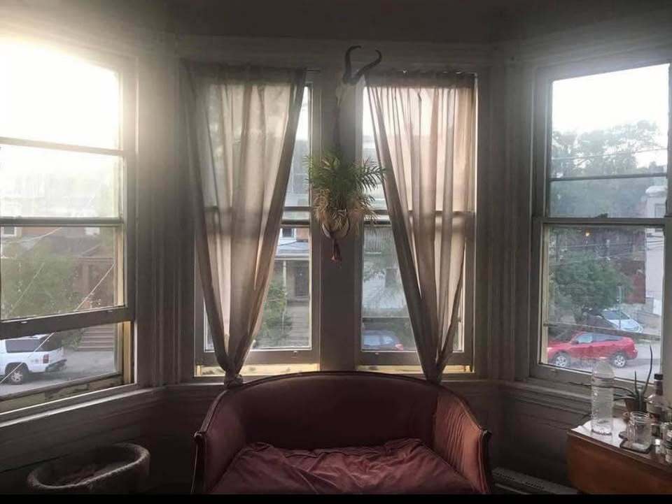4 large NEW windows - 4822 Florence Ave