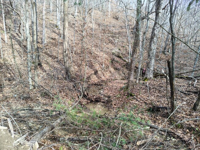 Foto del edificio - 362 Ester Spur Rd