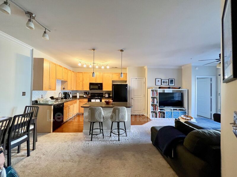 1400 Granby St Unit 210, Norfolk, VA 23517 Condo for Rent in Norfolk, VA