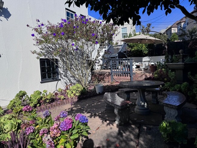 Backyard - 1650 Plymouth Ave