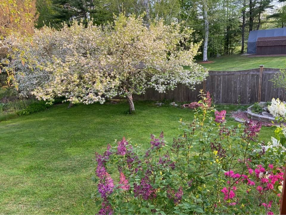 Primary Photo - 284 Dalton Division Rd