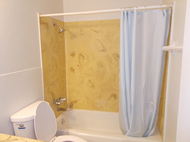 bathroom - 505 E Fairmount Ave