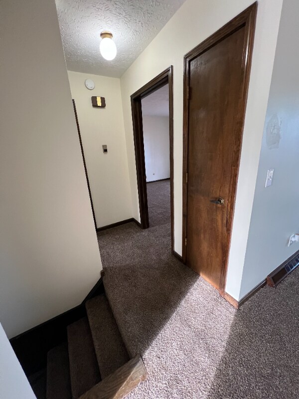 Building Photo - 295 Canova Dr