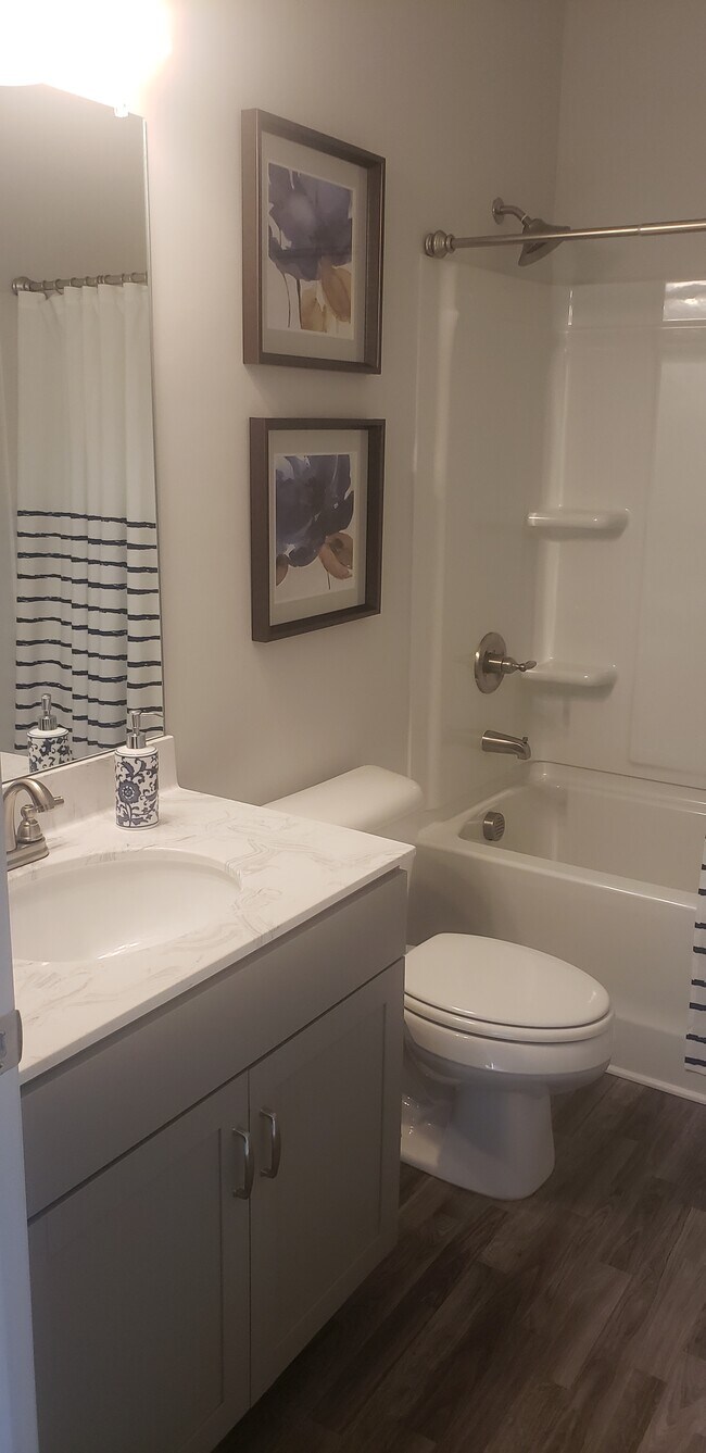 Guest Bath - 140 Madison Bnd