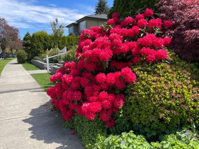 Photo du bâtiment - 396 W 26th Ave