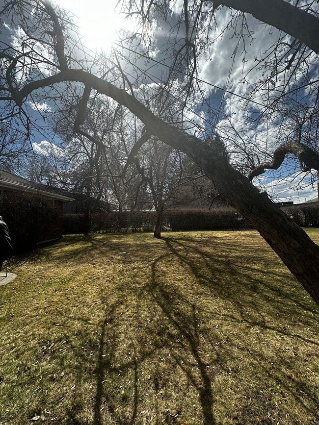 Foto del edificio - 2 Bedroom Apartment Only Steps from Campus